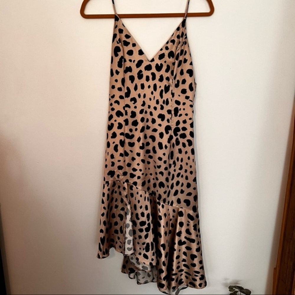 Never Worn Without Tags. Leopard Print Slip Dress